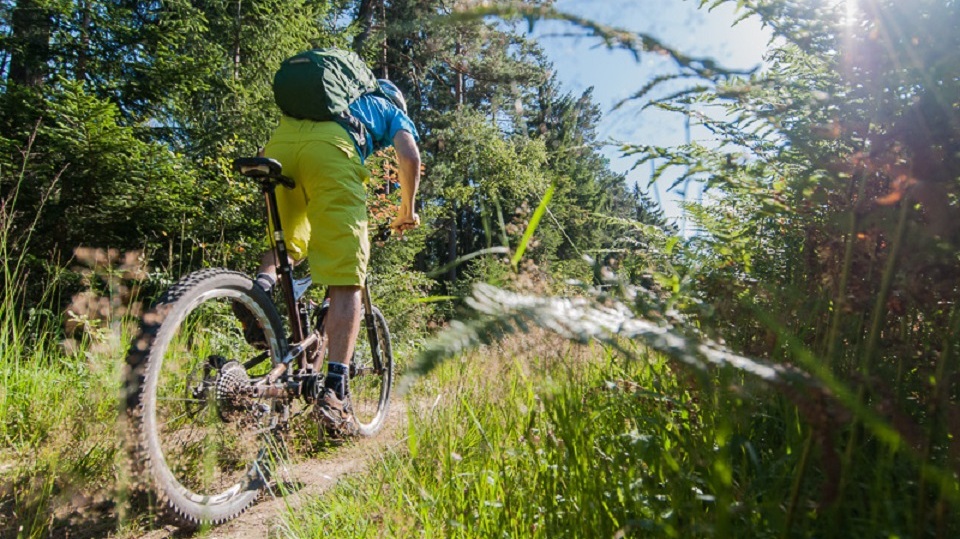 Mountain bikers start directly from the hotel into nature.